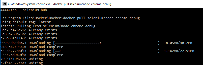 chrome-debug-selenium-docker-installation-protractor