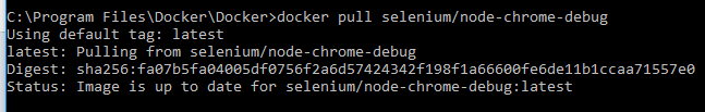 confirm-installation-chrome-node-debug-docker